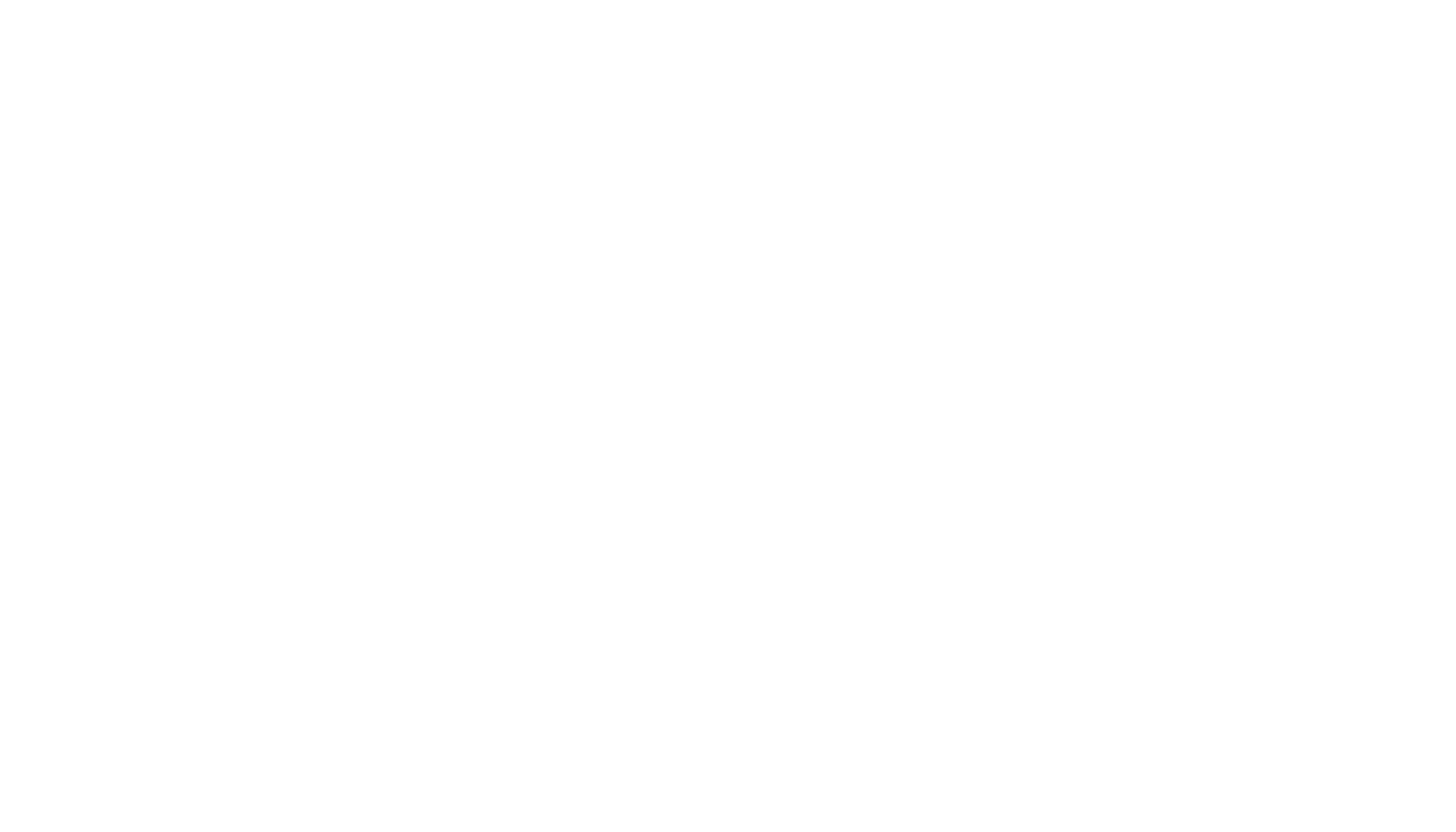 logo light